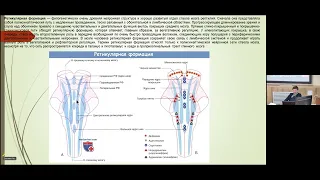 T18 Dr. Natalia Pasikova "Structural elements of the nervous system Pt.2" IHNA/iBrain