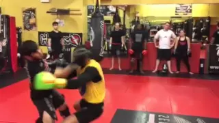 Pro MMA sparring