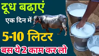 गाय भैंस का दूध बढ़ाने का फार्मूला🥛dudh badhane ka tarika | गाय/भैंस का दूध कैसे डबल करें🤞