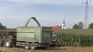 14 Min UNCUT Maishäckseln mit Claas Jaguar 970 V8 Power   Lohnunternehmen Hannes Hauptmann Wildschwe