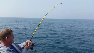 FISHING a locus from a boat, Israel sea fishing ловля локуса с лодки , израиль морская рыбалка