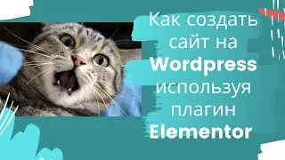 Как создать сайт на Wordpress используя плагин Elementor