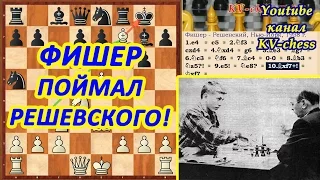 Фишер поймал Решевского на чужую шахматную ловушку!