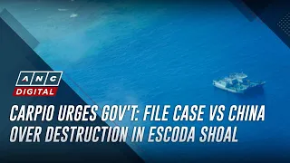 Carpio urges gov't: File case vs China over marine destruction in Escoda Shoal | ANC