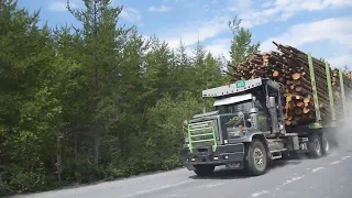 Camion Planétaire Forestier (Chemin des Passes Dangereuses) !!!