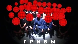 Грибы - Копы [GoPro Live]