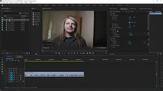 ПП 01 - 5 видов экспозиции нарезка и настройка внешнего вида Premiere Pro