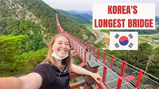 KOREA'S LONGEST BRIDGE !!! The best attraction in South Korea