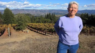 Carole Meredith Solves the Zinfandel Mystery