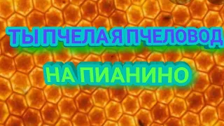 Ты пчела я пчеловод на пианино!!! /учись со мной!!!