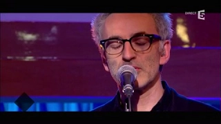 Vincent Delerm, en Live - C à vous - 31/01/2017