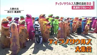 ティラノサウルスが浜辺を全力疾走！　黒潮町で珍レース【高知】 (23/02/27 11:40)