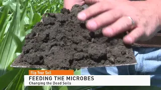 Flip Your Soil: Feeding the Microbes