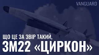 Що це за звір такий, ЗМ22 "Циркон"?