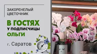 В гостях у Ольги, владелицы магазина Закоренелый цветочник г. Саратов