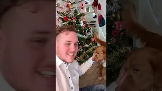 Hunden den skal også vide det er jul ... jul jul jul jul jul!