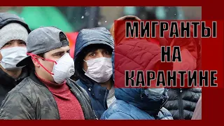 Рабочие мигранты на самоизоляции в Москве. Условия жизни и перспективы протеста