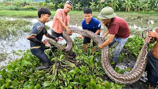 The Group Of Hunters Followed The Tracks Of 2 Giant Snakes | Fishing TV