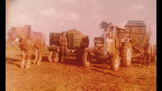 Loonw. Patfoort - Alveringem - Eicher - Stoll - Ford 5000 - Schmotzer