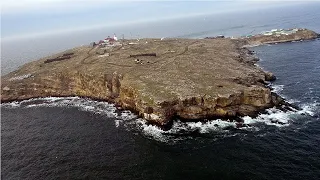 Острів Зміїний. Таємниці та міфи острова Зміїний. Історія острова.