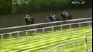 Seattle Slew - 1978 Woodward Stakes (Upgrade)