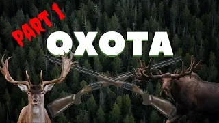 theHunter: Call of the Wild ОХОТА на Лося. Часть 1!