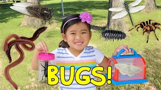 Harper and Daddy Play and Have a REAL Bug Hunt! We Catch and Look at Tiny Bugs in the Woods!