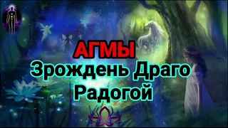 Агмы Зрождень Драго Радогой