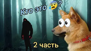 "ОБИТАТЕЛЬ ЛЕСА" 😱 - 2 ЧАСТЬ! ( Метис Бетти) Говорящая Собака 🐶