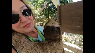 Who knew a Sloth would be so cool??