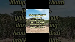 hidup adalah sebuah perjalanan#nasehatislami #muhasabahdiri #shortvideo