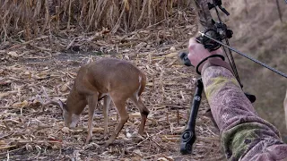 Iowa Dream Hunting