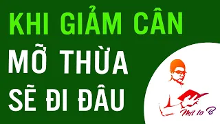 Khi bạn Giảm cân thì Mỡ thừa Biến đi đâu ??? (Rất Nên Xem)