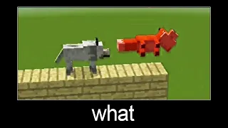 you will cry!!! epic chase (wolf vs fox) Minecraft wait what meme part 6
