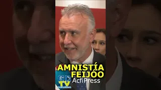 "La historia señalará a Feijóo por no apoyar la Amnistia" Ángel  Torres  #shorts #amnistia #feijoo