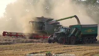 Claas - Fendt - MAN / Getreideernte - Grain Harvest  2021