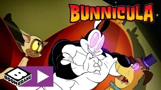 Bunnicula | Getting Crushed! | Boomerang UK 🇬🇧