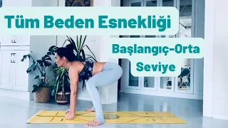 Tüm Beden Esnekliği/Başlangıç-Orta Seviye