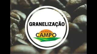 Granelização: Agilidade e custos mais baixos para o cafeicultor