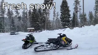 Early season snowmobiling in McCall Idaho | skidoo freeride