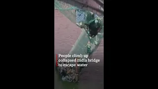 India bridge collapse: People climb to escape water - BBC World Service #shorts