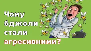 Чому бджола стає агресивною, і як цьому заподіяти?