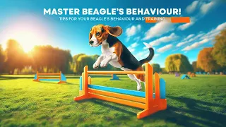 Transform Your Beagle's Behavior with These Tips!