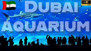 Dubai Aquarium & Underwater Zoo, Dubai ||UAE||