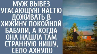 Муж вывез угасающую Настю доживать в хижину покойной бабули, а когда она нашла там странную нишу