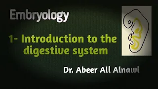 Embryology/1- Introduction to the digestive system. Dr. Abeer Ali Alnawi