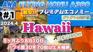 【ハワイ旅 #1】フライングホヌ/プレミアムエコノミー/飛行機はガラガラ/費用公開/34年ぶりの円安