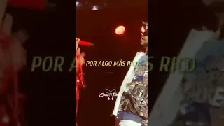 Anuel es un idiota