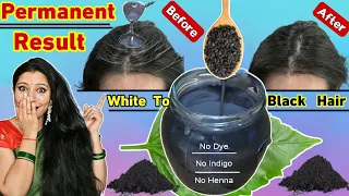 Don't Use Dye Use Only This Powder To Make Hair Black Naturally & To Reverse Premature Hair Greying.