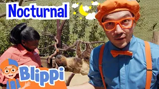 Blippi’s Fun Zoo Day | Educational Videos For Kids